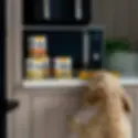 Pooch and Mutt discount code