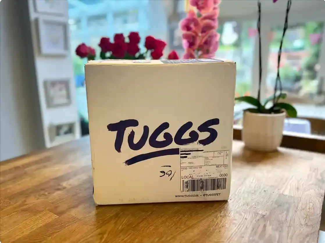Tuggs insect based dog food home delivery