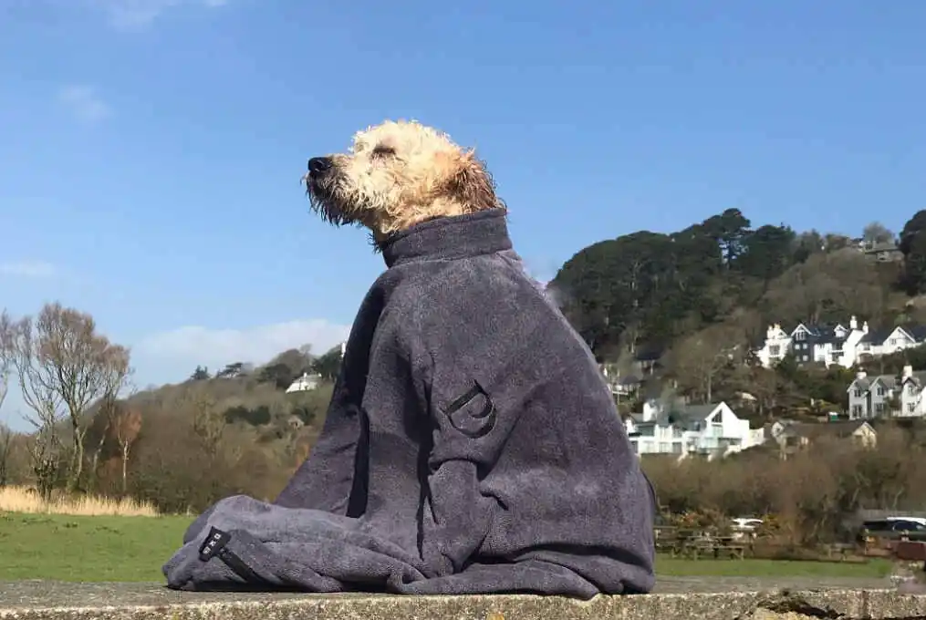 The best dog drying bag for your dog walking business