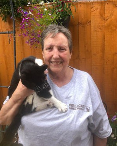 Anita volunteer at Birmingham cat rescue