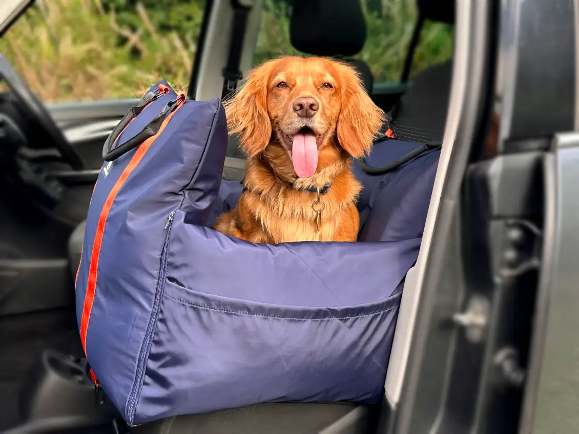 Luther Bennett Dog Travel Pod Dog Car Seat Review