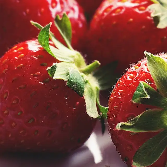 Can dogs eat strawberries conclusion