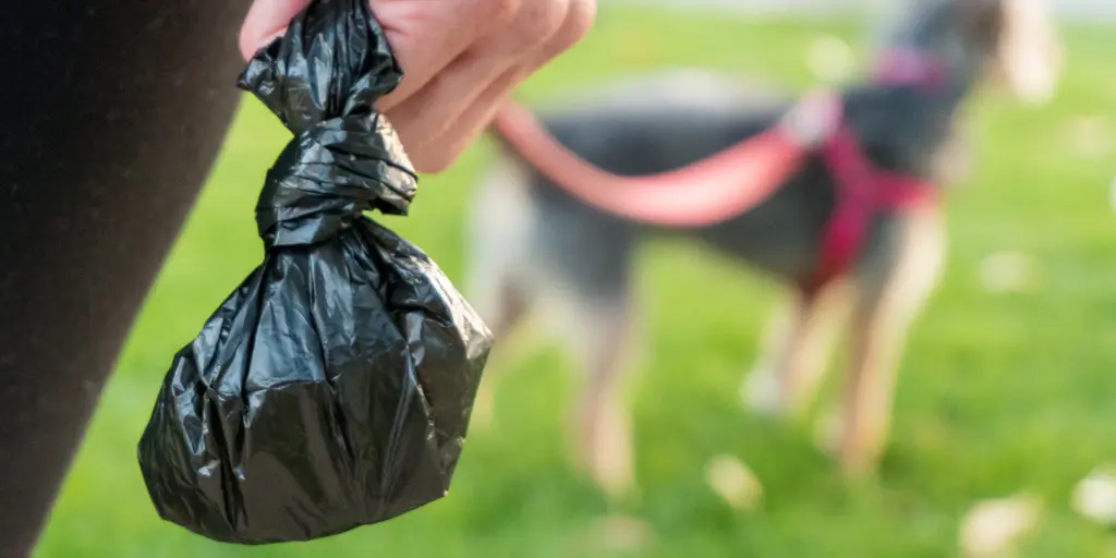 Always carry spare poo bags in your dog walking bum bag