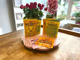 Tugg insect based dog food review 2026