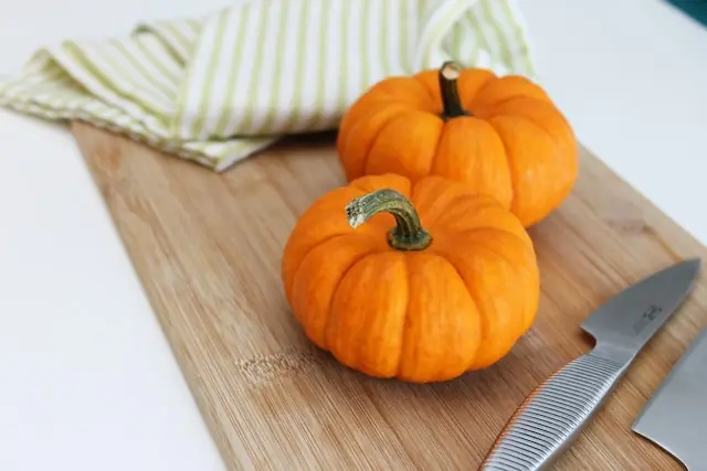 How to incorporate pumpkin powder into your dogs diet