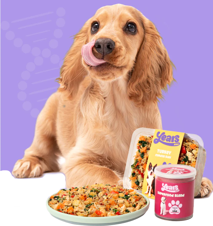 The Best Dog Food UK Our 2024 Update