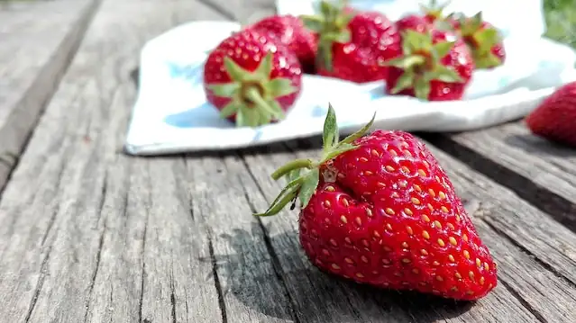 Nutritional benefits of strawberries for dogs