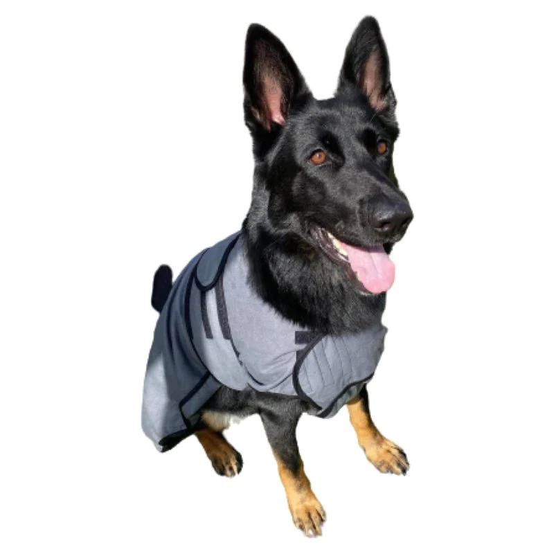 Alsation wearing the hardwearing dog cool vest from Pawdaw of London