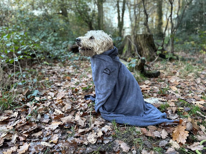 Towels for dogs from Pawdaw