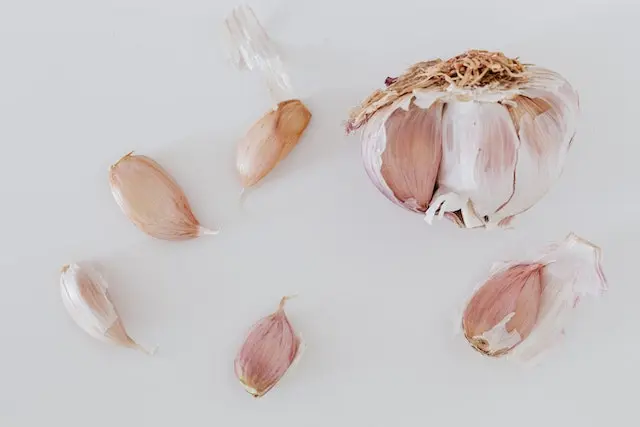 Can dogs eat garlic?