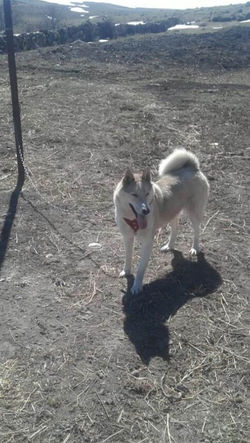 image-0-02-04-9d3c392cabb7f86648d94c94ec557661853a12d3219d22dcdb801d8843da2641-V