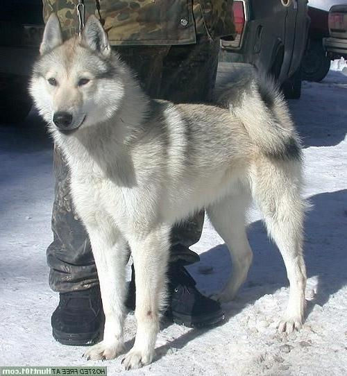 e83eee2eece32140a4974747a49da353[1]