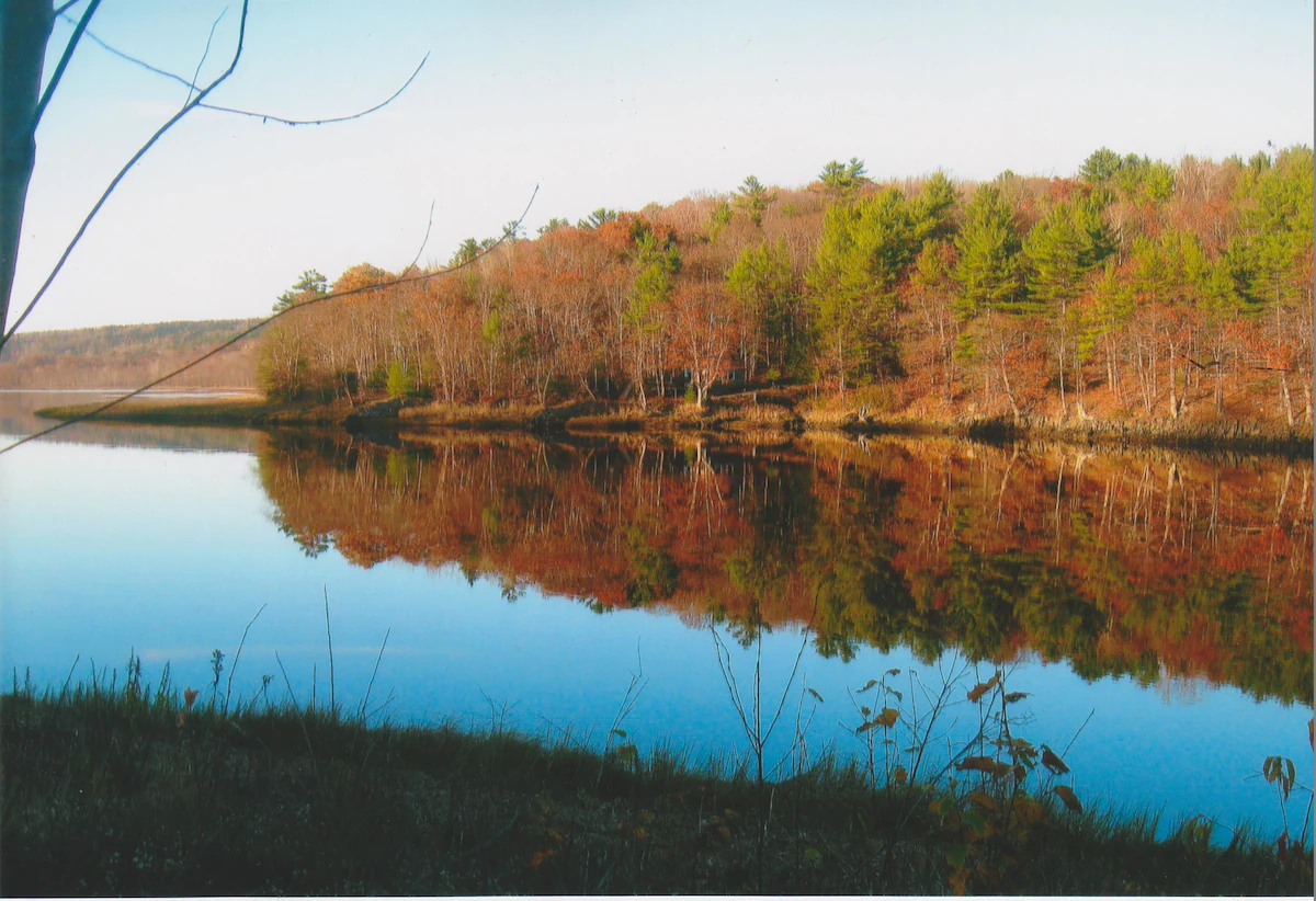 Bear River Millyard