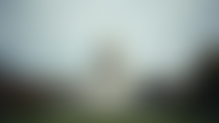 It Hits Different When You See It in Person: The U.S. Capitol