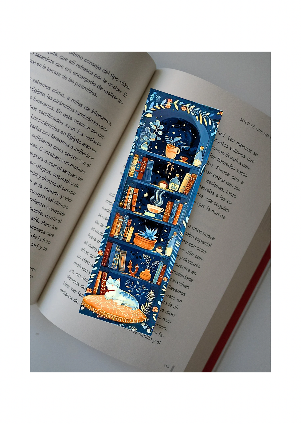 Прев'ю: Книжкове муркотіння 3/4