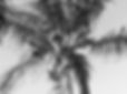 d6f2f6dfad3db0dd70ace67a7e2118ea.jpg