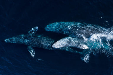 DJI_0025.jpg