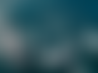 Crew day leads to interesting behaviors! | 20+ Humpbacks, 2,000 dolphins