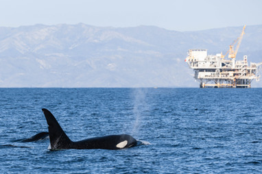 3P7A8898.jpg