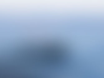 Humpbacks, Risso's and a trip to the Painted Cave