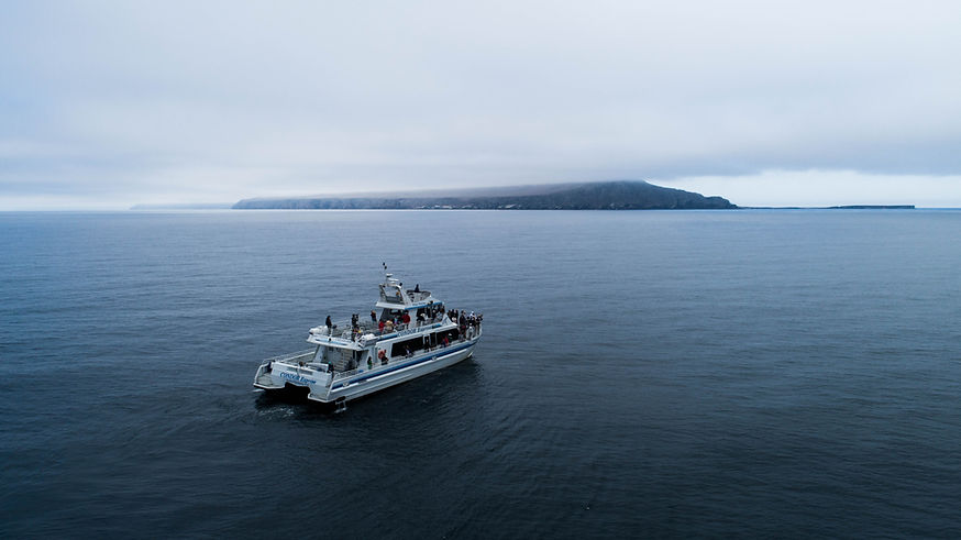 DJI_0013.jpg