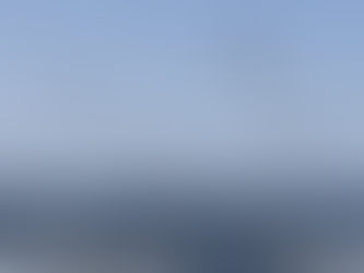 Birdnados Galore! 20+ Humpbacks along with 4,000 Dolphins