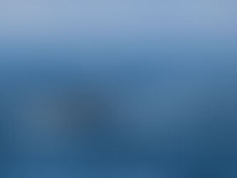 It's December, which means... Killer Whales!