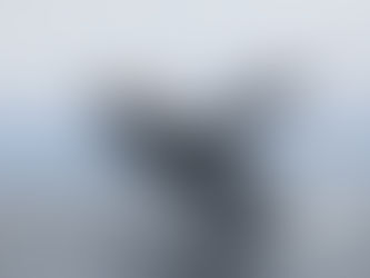 Happy Breacher among 12+ humpback whales