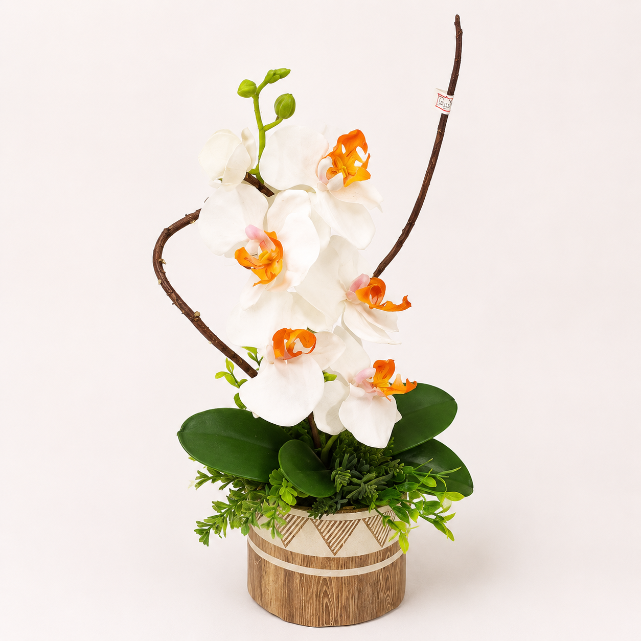 Arranjo Orquídea Branca Holly em Vaso Natural