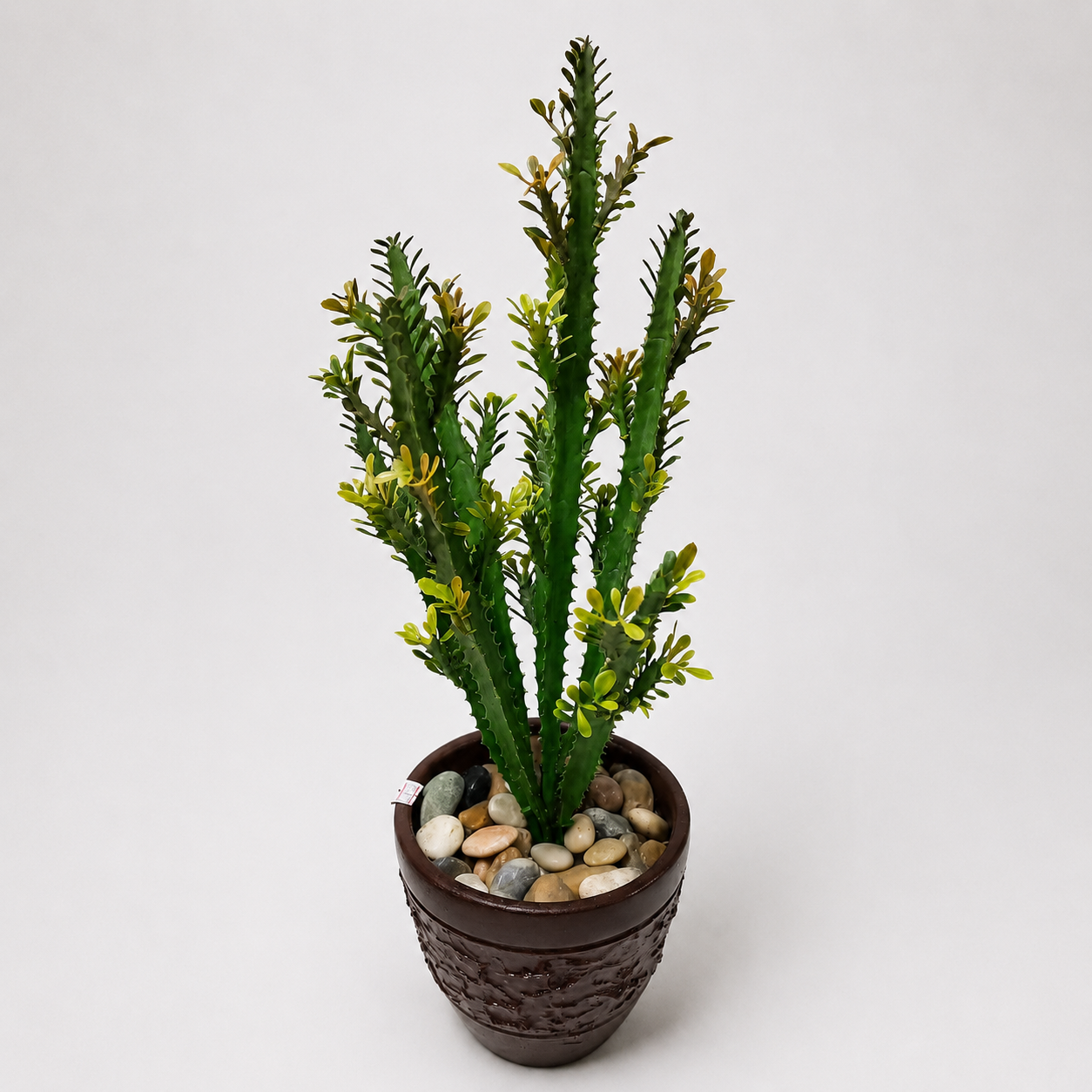 Cacto Imperial Verde com Vaso Rústico e Pedras Decorativas