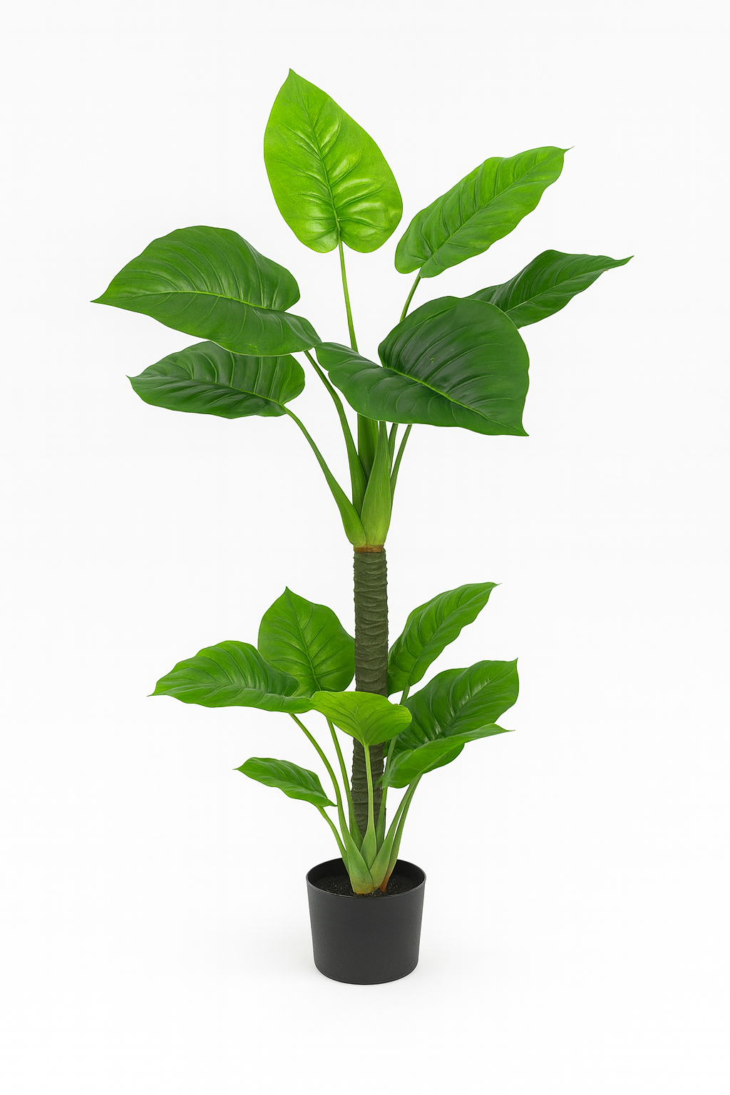 Planta jiboia 1,10m 20folhas premium 