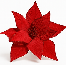 flor vermelha de natal.png