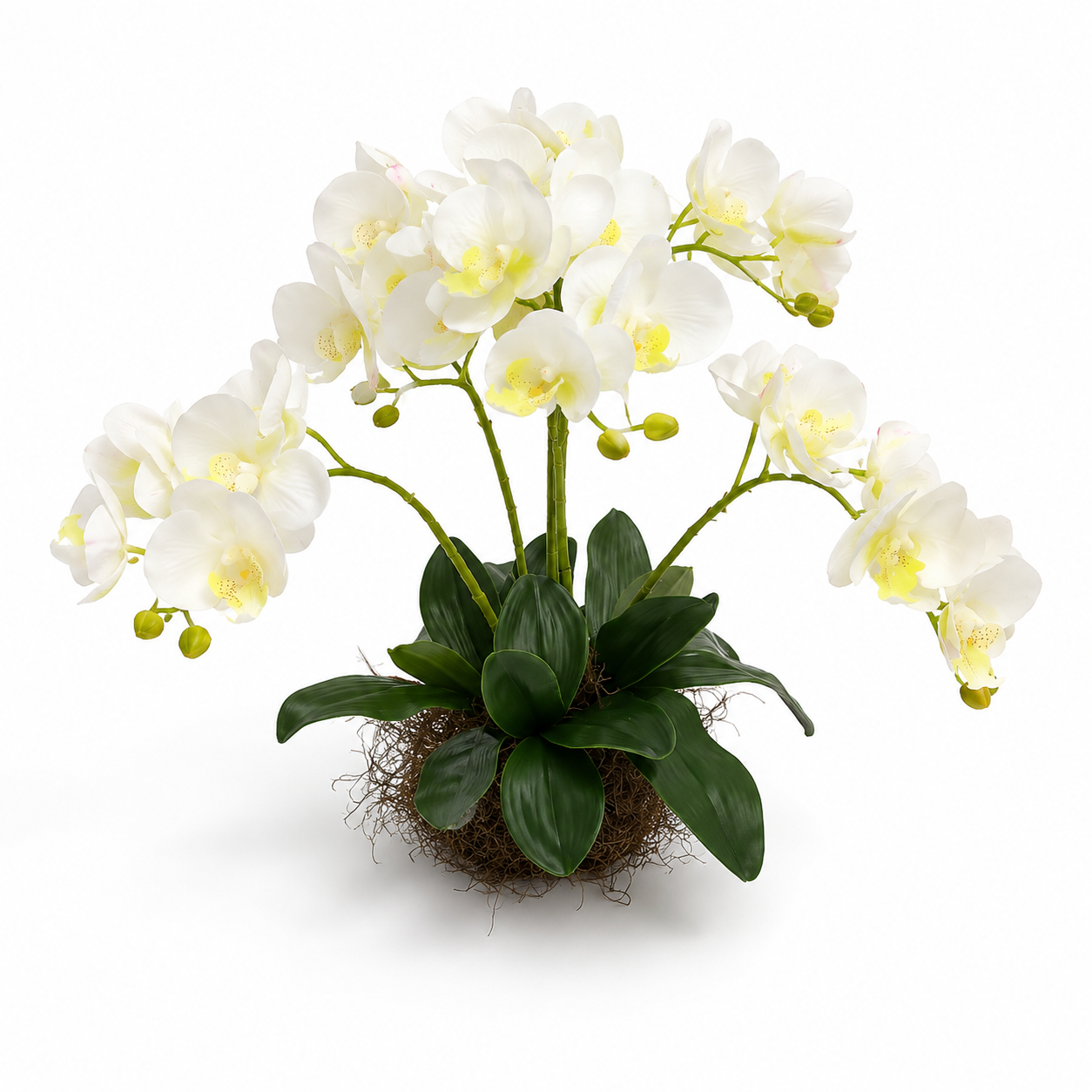 Arranjo de orquídeas em silicone