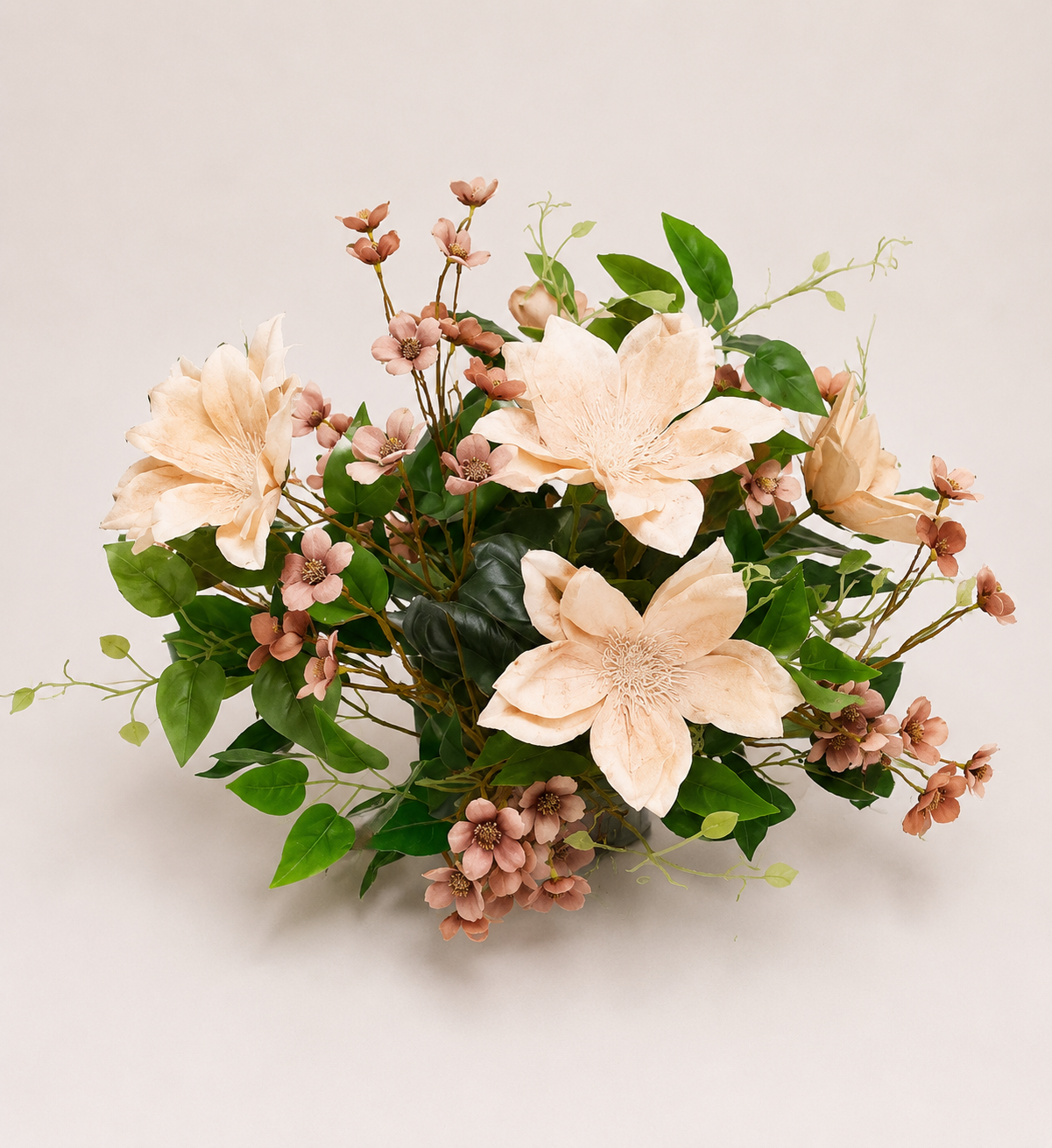 Arranjo de climatis