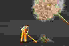 bloom blossom cleaning dandelion