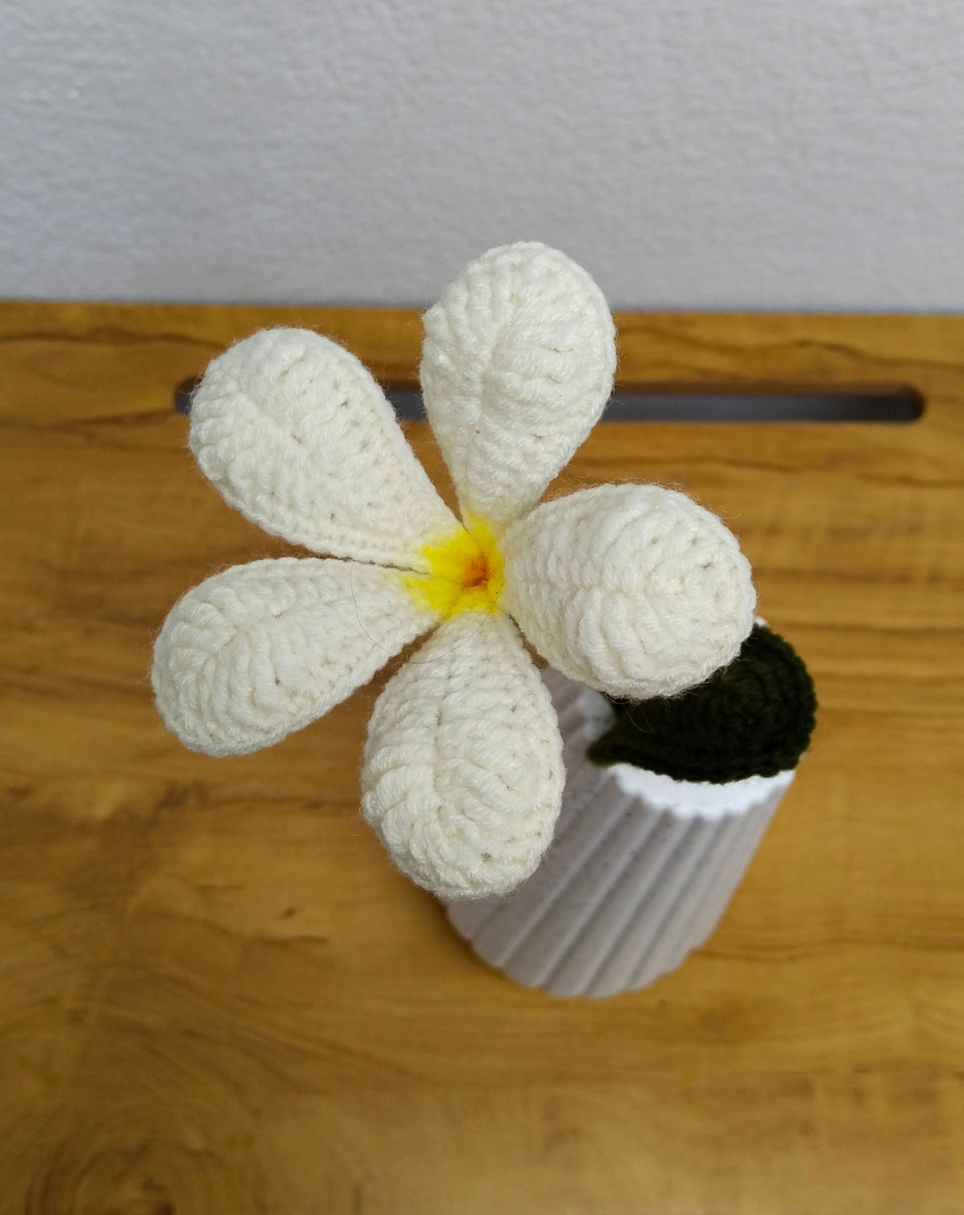 Plumeria Flower Pattern