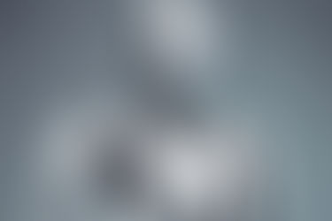 The Future of Humanoid Robots in Everyday Life: Are We Ready for Robot Companions?
