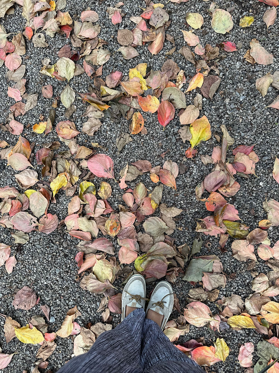 IMG_0614.jpeg