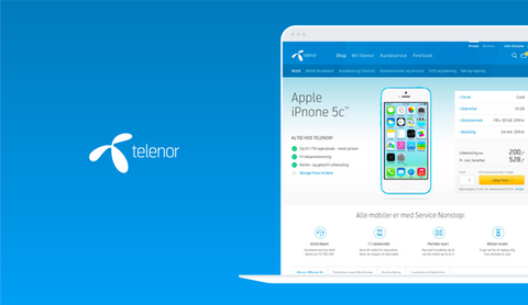 Telenor Denmark. Web application design. Portfolio