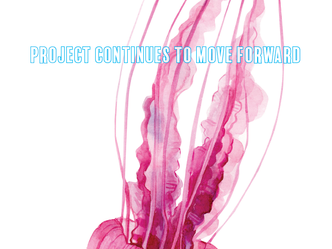 PROJECT CONTINUES TO MOVE FORWARD