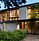 Modern House