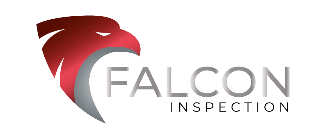 FALCON_GIF.gif