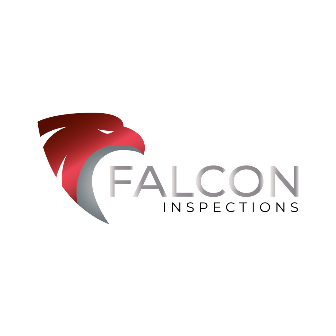 FALCON-GIF.gif