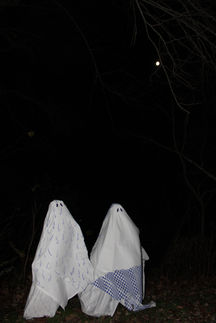 IMG_0872.JPG