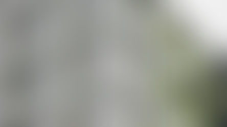 Energetisch sanierter bezahlbarer Wohnungsbau