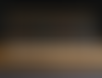 Bob Moog Tribute Edition Minimoog Model D: What's Inside