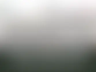 Participação da ResECO - “The Nature Restoration Law – Technical discussion for drafting the National Restoration Plan”