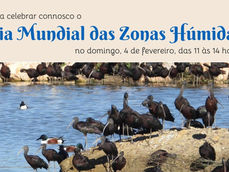 Dia Mundial das Zonas Húmidas
