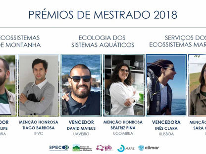 2018 | Vencedores dos Prémios de Mestrado