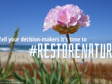 #RestoreNature